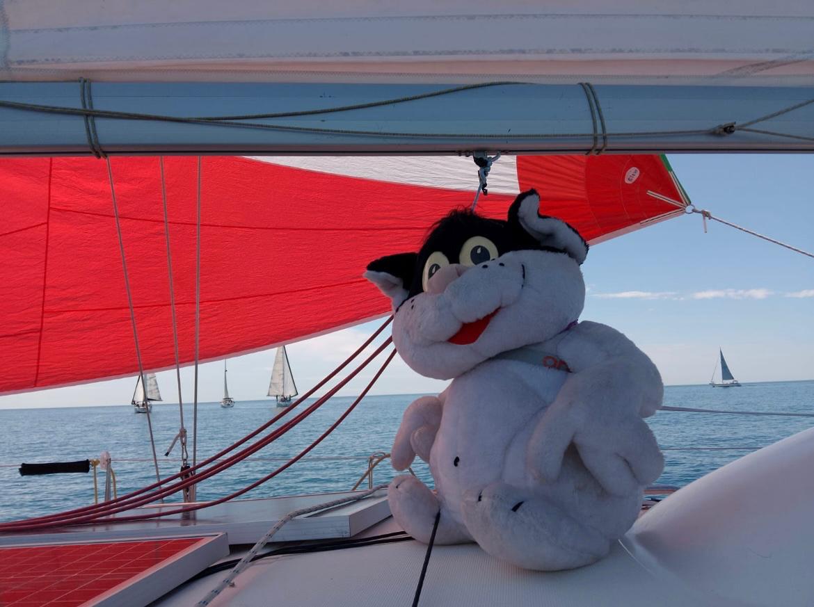 Miao Sail 04