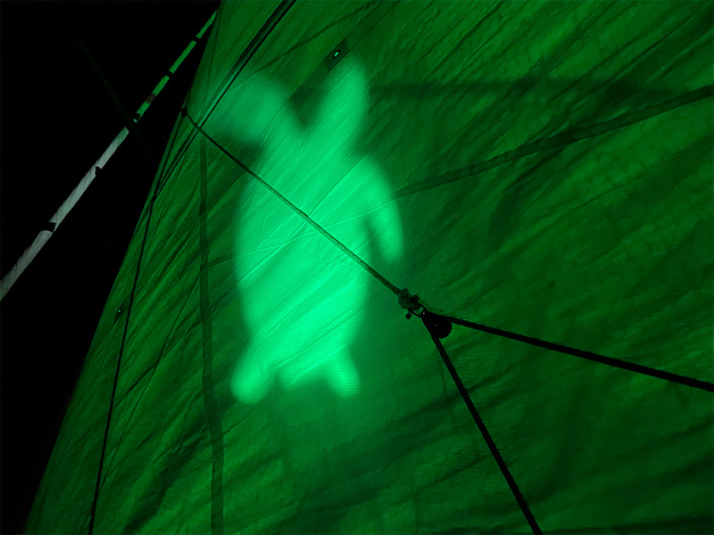 Green Sail Action 01