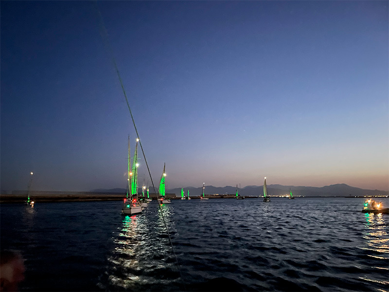 Green Sail Action 02