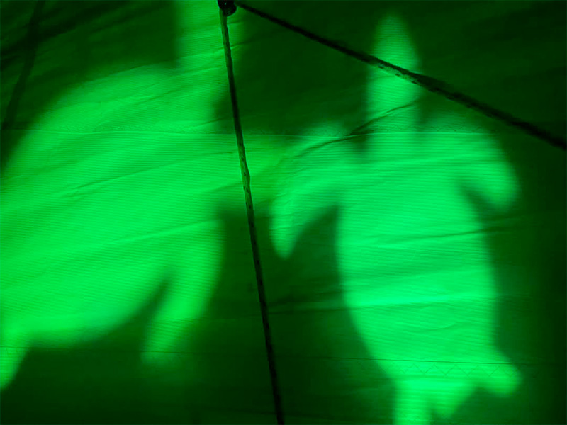 Green Sail Action 06